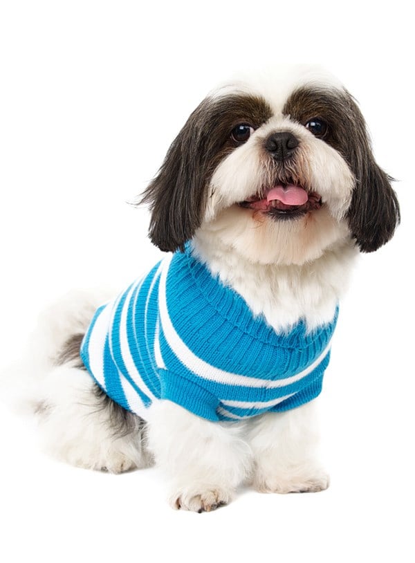 Blue & White Candy Stripe Sweater - Stickad hundtröja