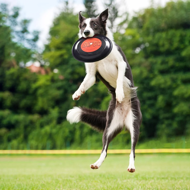 AC/DC Frisbee 23cm