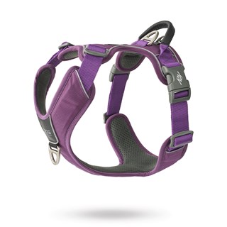 Comfort Walk Pro 3.0 Harness - Purple Passion