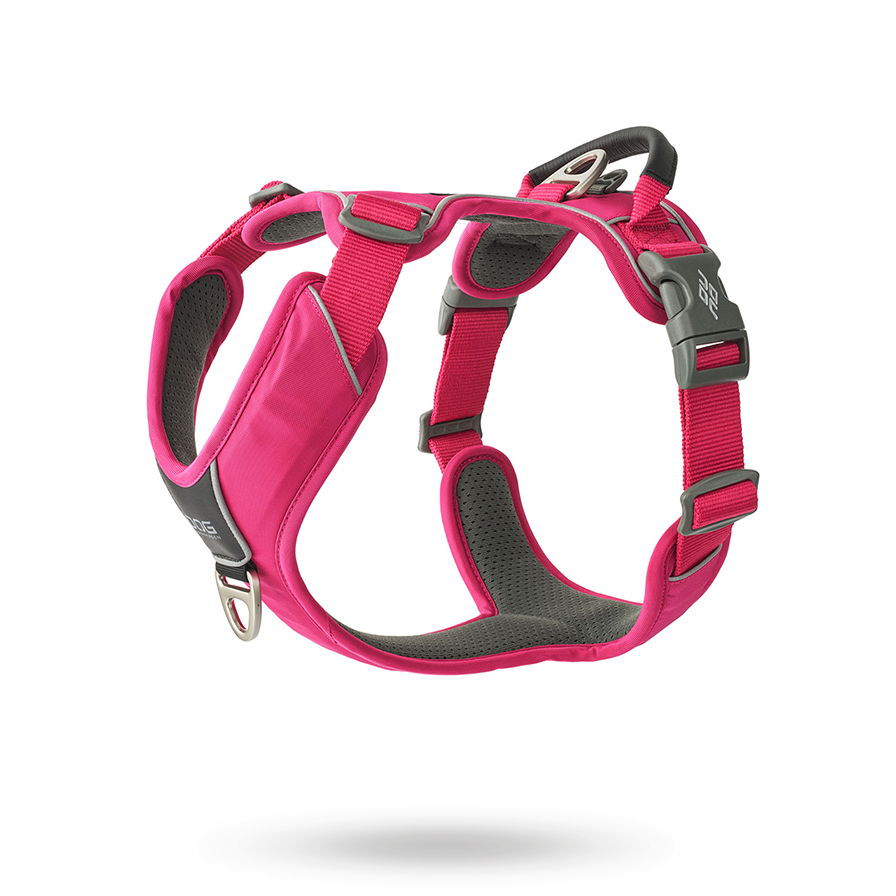 Comfort Walk Pro 3.0 Harness - Wild Rose