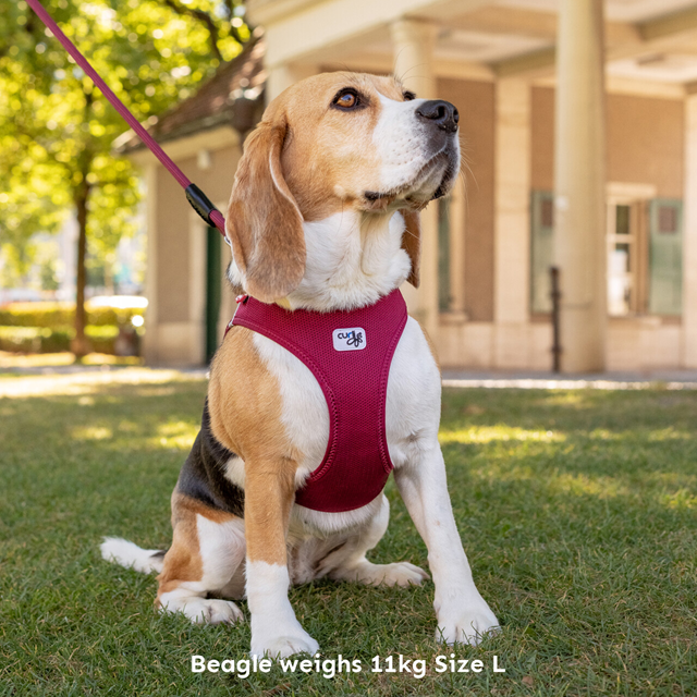 Curli Vest Clasp Air-Mesh Hundsele - Ruby