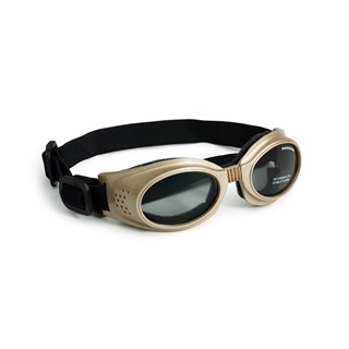 Hundglasögon Originalz - Gold / Smoke Lens