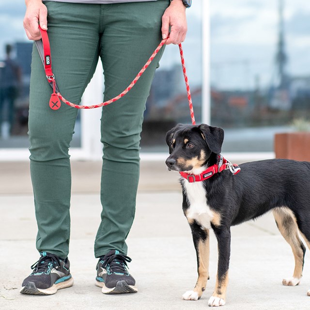 Urban Rope Leash Hundkoppel 3.0 - Classic Red