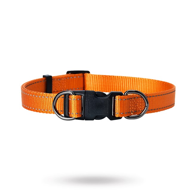 Dogman Nylonhalsband Iris ställbart - Orange