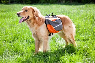 Extreme Backpack Klövjeväska Orange/grå