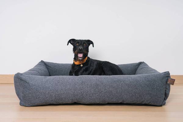 Fantail dog bed best sale