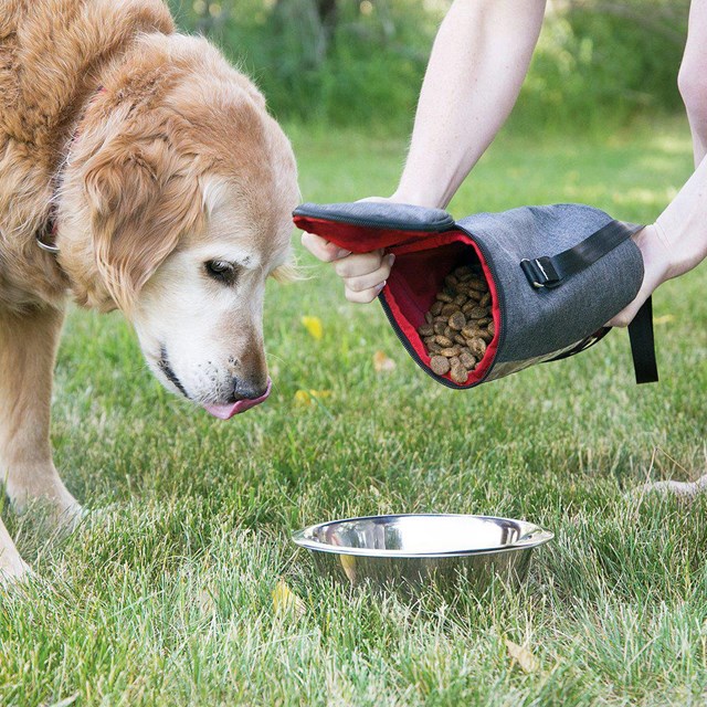 Kong Kibble Storage Bag