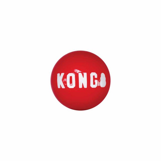 Kong Signature Balls 4-pack