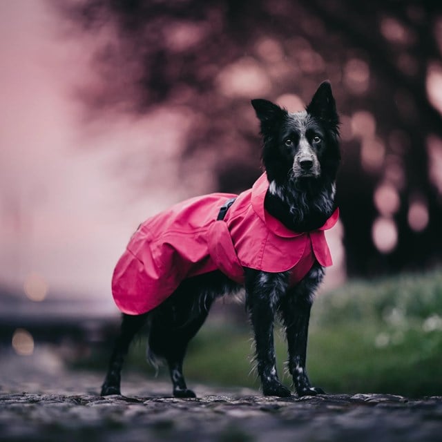 Paikka Visibility Raincoat Lite - Hot Pink