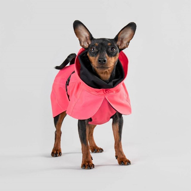 Paikka Visibility Raincoat Lite - Hot Pink