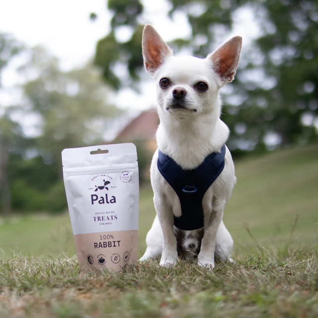 Pala Treats 100% Rabbit 100g