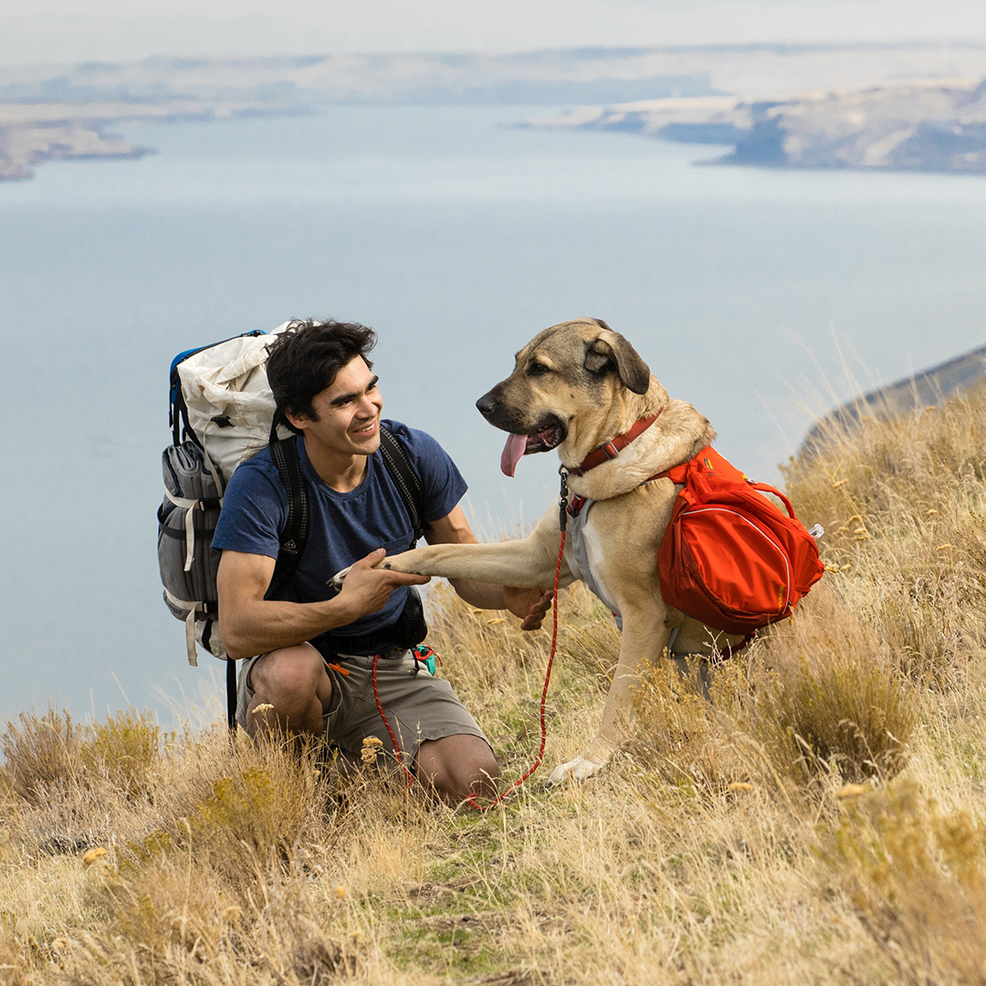 Ruffwear Palisades Pack Kl vjev ska Red Sumac Snabba