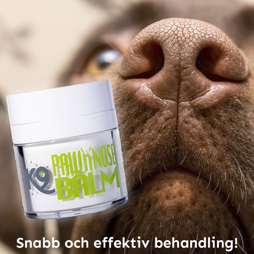 Paw n Nose Balm 50ml Snabba leveranser 14 dagars oppet kop Doggie